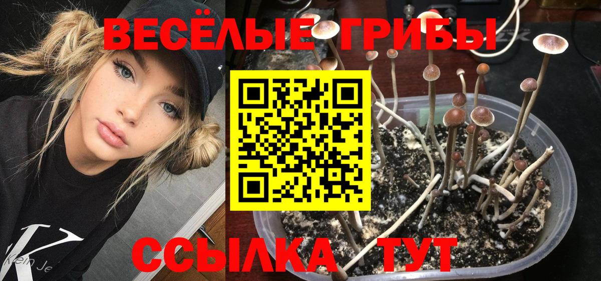 Химки  Псилоцибиновые грибы ЛСД  Вход с VPN  Галлюциногенные грибы прущие грибы 
