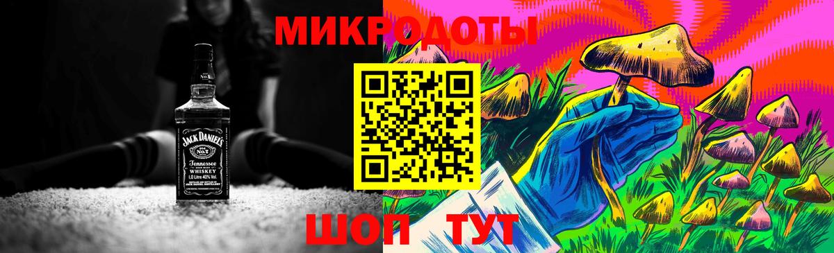 Псилоцибиновые грибы Psilocybine cubensis Химки